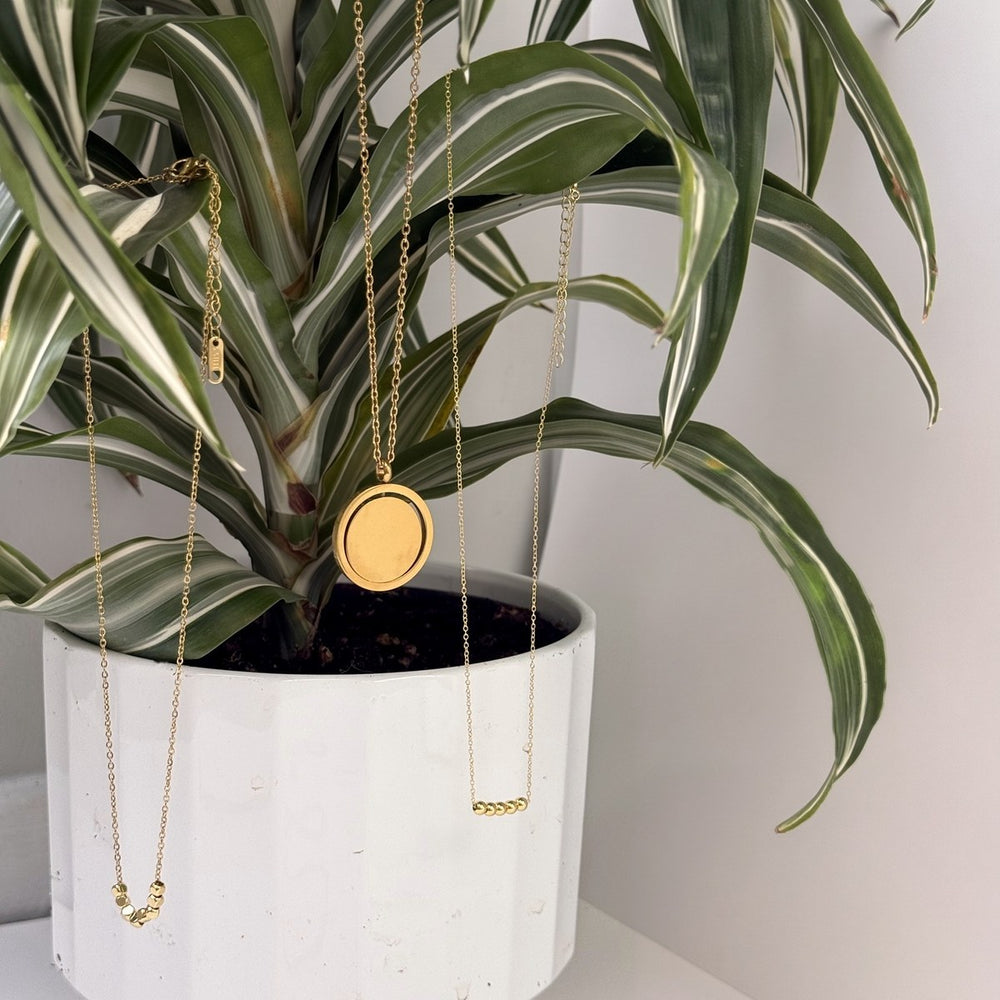 Three LOTS necklaces laid on a plant leaf
